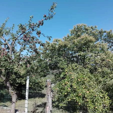 Patio Das Oliveiras *