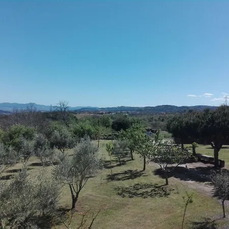 Patio Das Oliveiras Dom wakacyjny