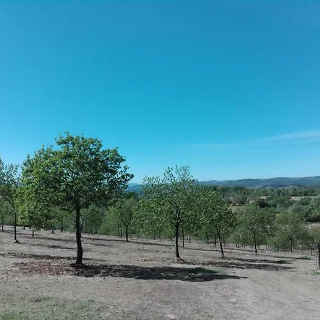 Patio Das Oliveiras * Quintela (Vinhais)