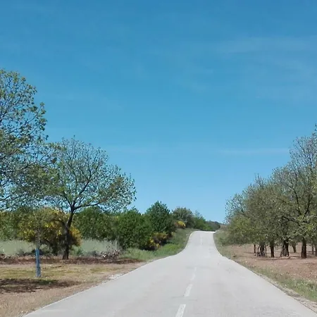 Patio Das Oliveiras *